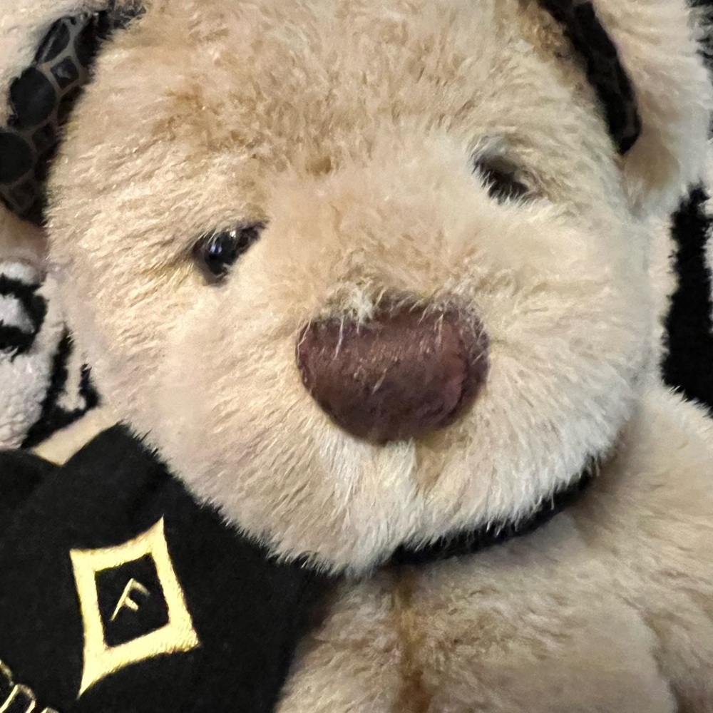 Fossil teddy bear - Picture 3 of 5